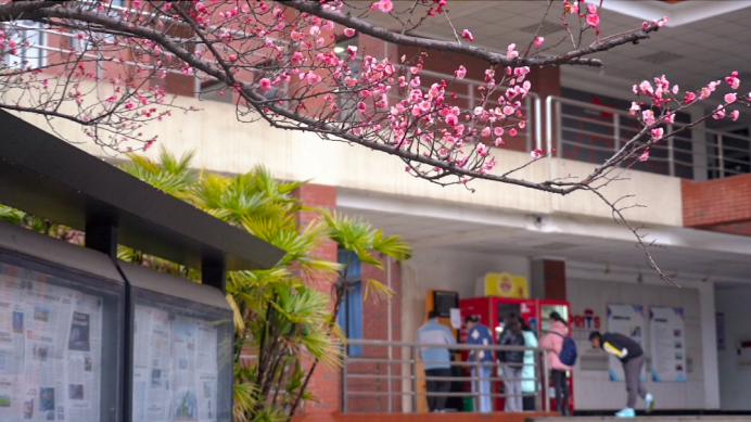 请查收！这封来自四川高校的春日来信