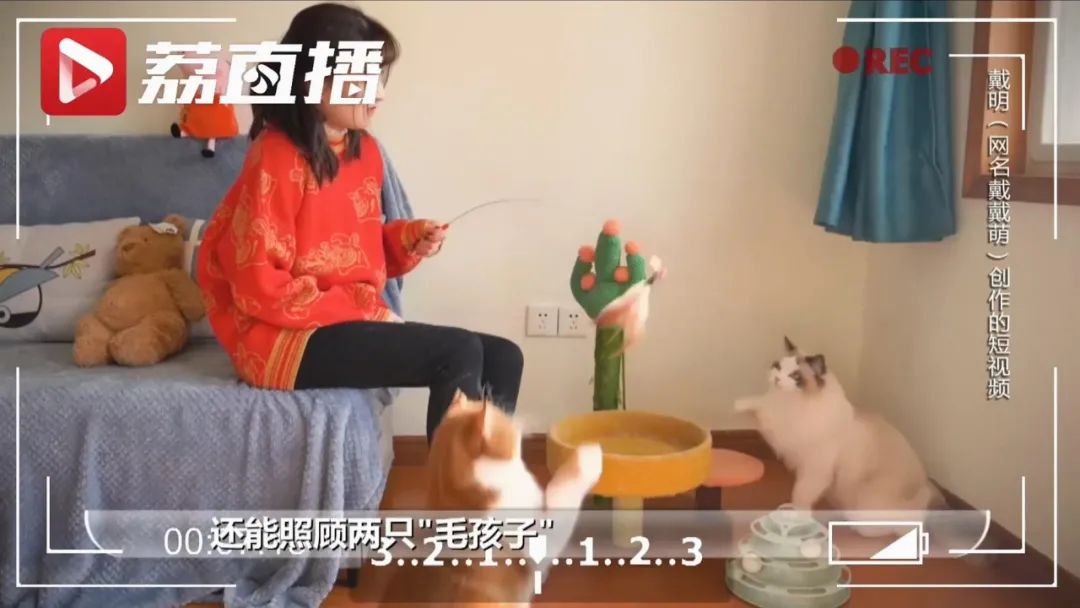 “我计划拍100条视频，不料刚发1条就火了”