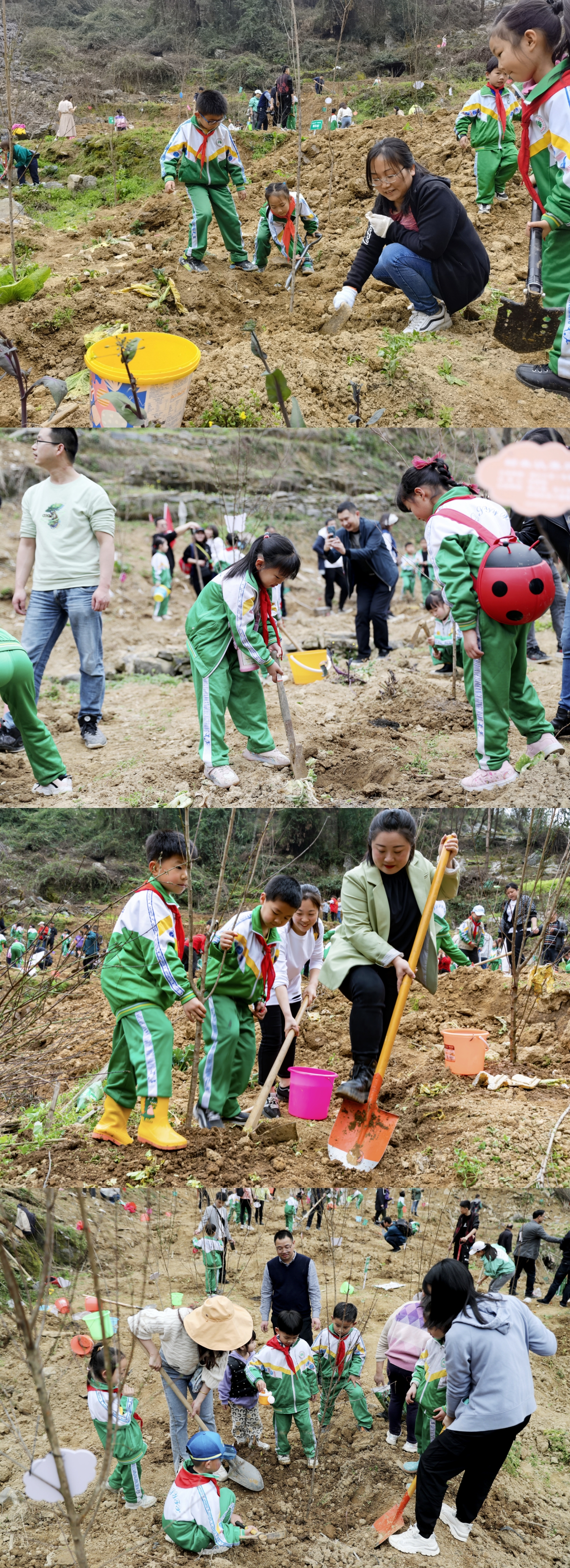 湘西溶江小学：学雷锋 植树护绿在行动(图3)