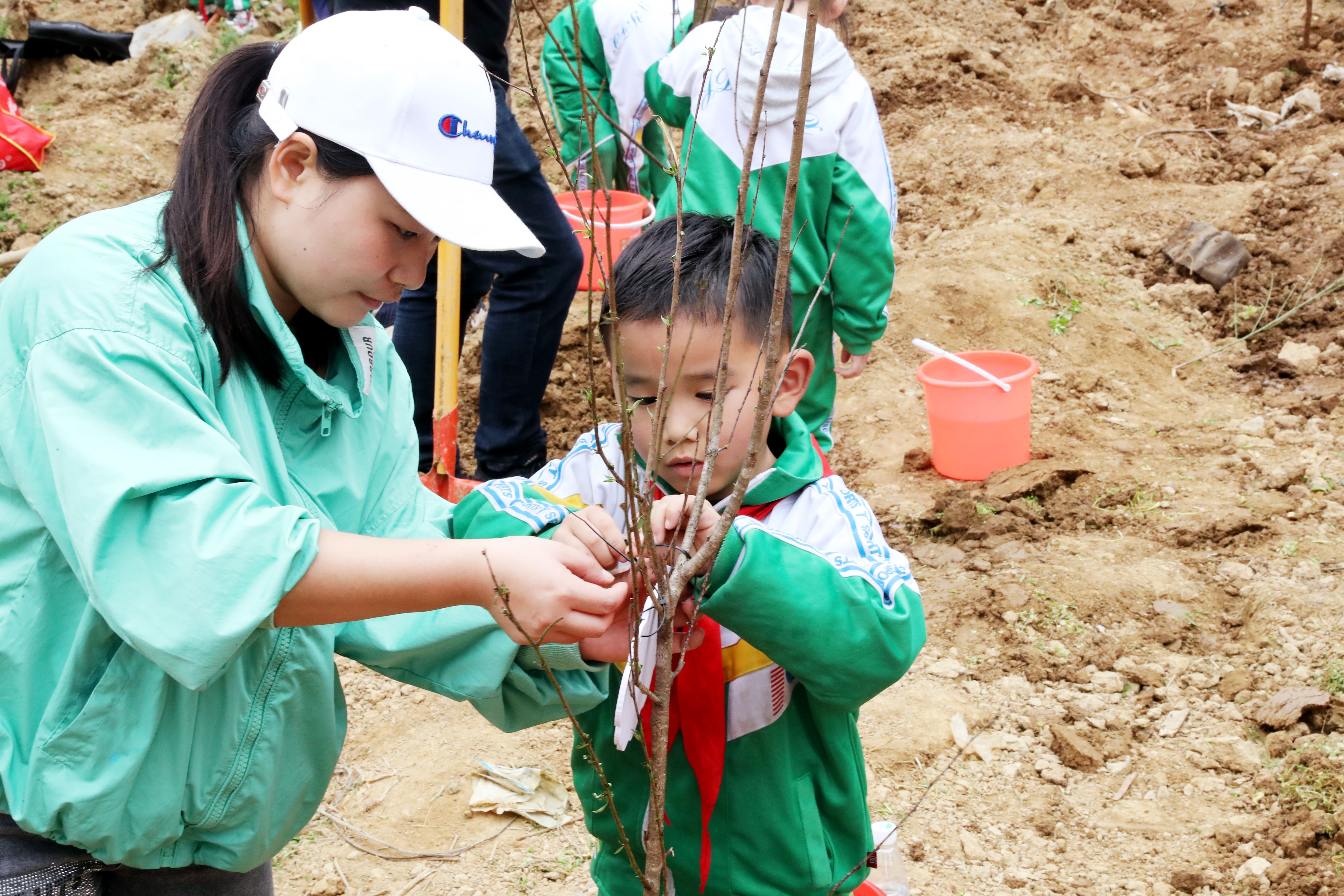 湘西溶江小学：学雷锋 植树护绿在行动(图4)