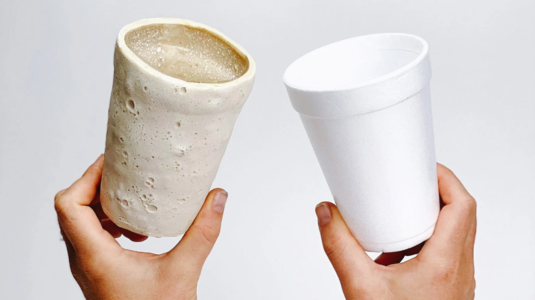 用虫子做的塑料杯，或将解决白色污染