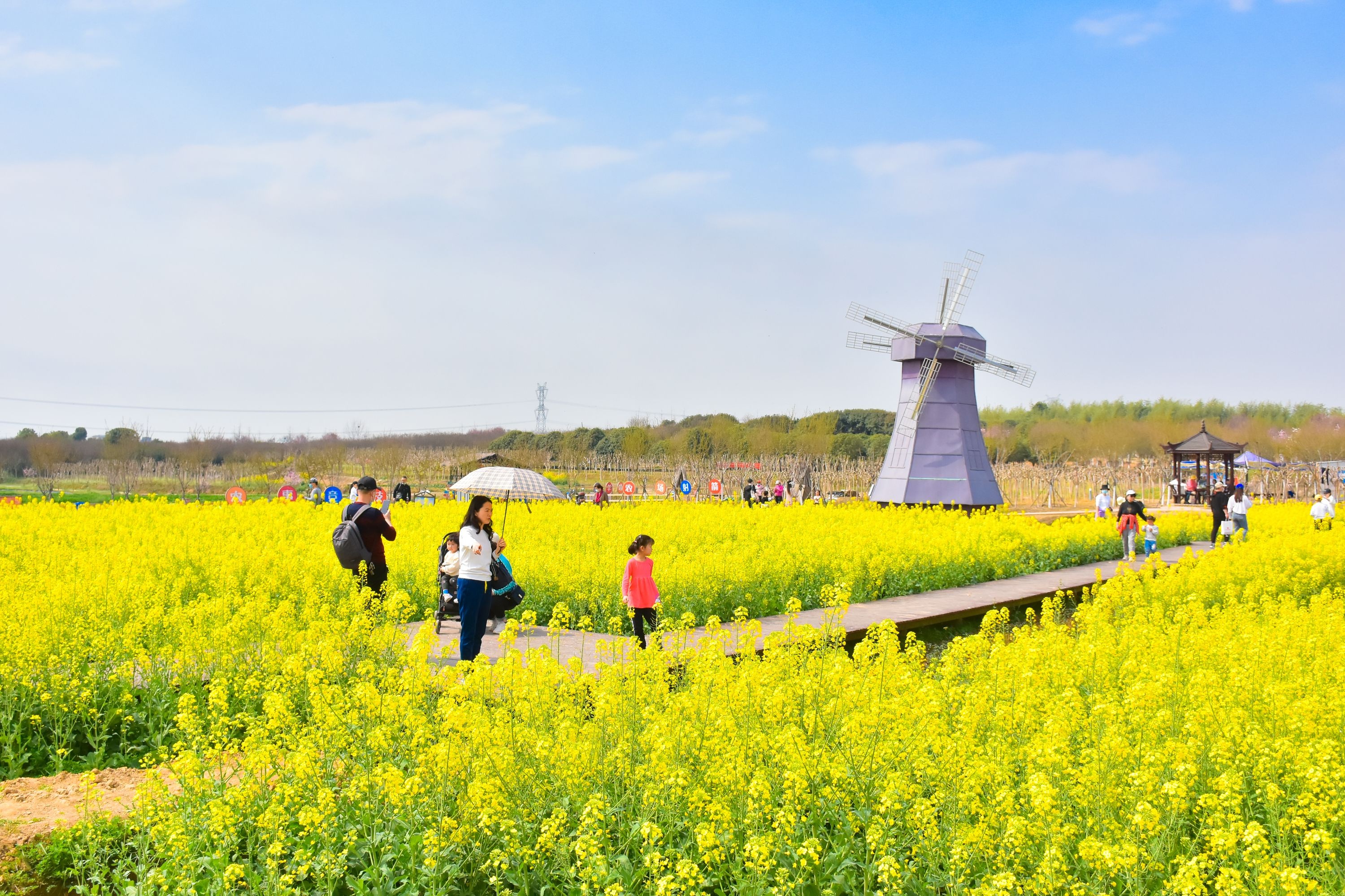 赏花热打造武汉新IP，城市出彩“颜值”也是经济“产值”