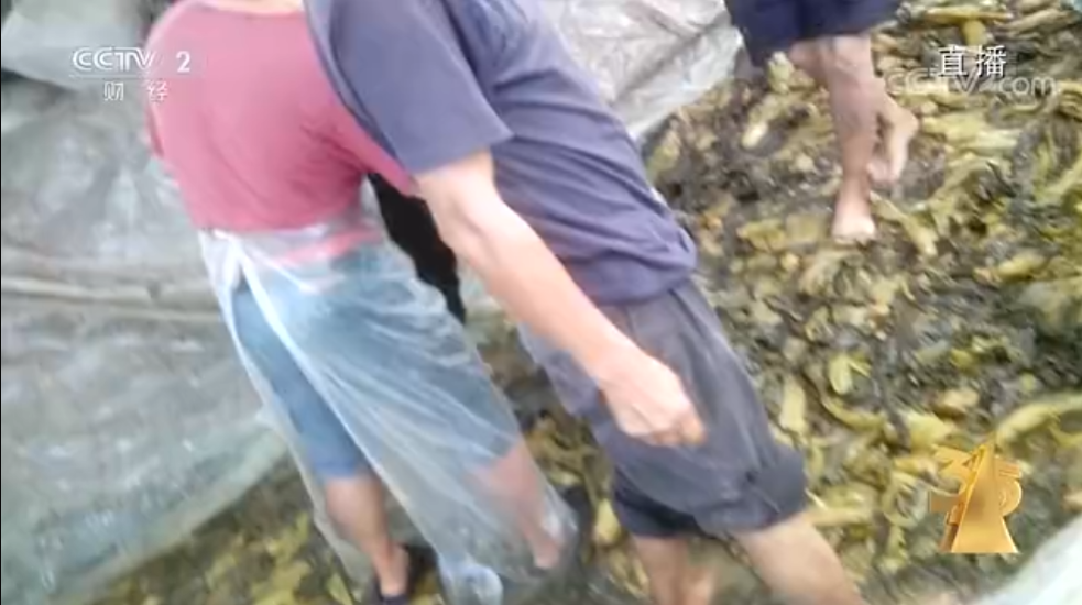 西安一律师起诉康师傅老坛酸菜牛肉面：家里还有一箱，315之后我心里比它还要酸爽