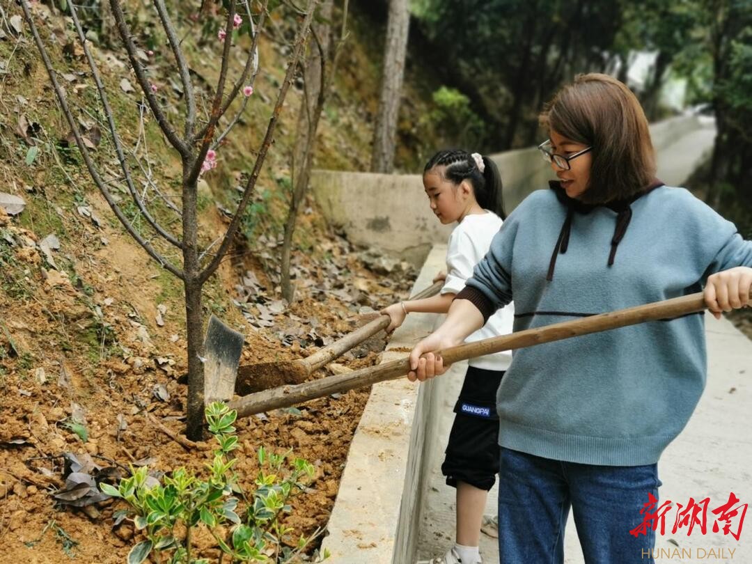 双峰县文正学校：打造梅园新景观(图1)