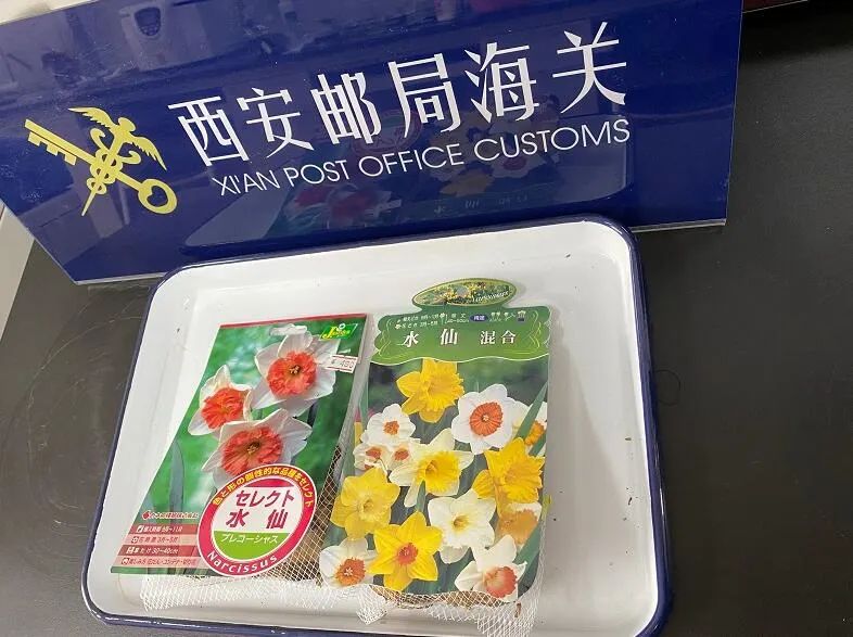 注意！乘坐西安地铁有新变化 | 小青小美说新闻