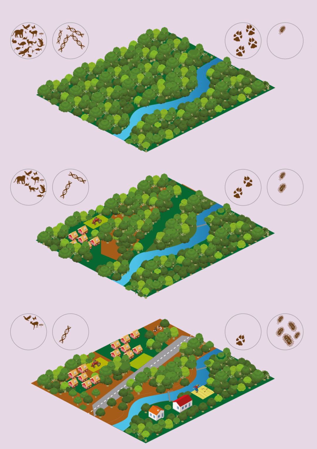 森林也“斑秃”？那该怎么治？丨大气悟理