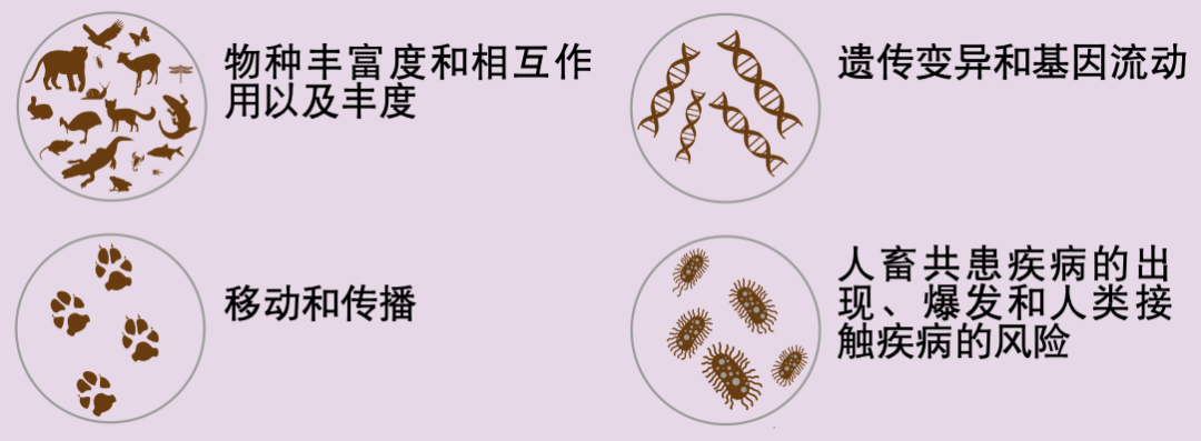 森林也“斑秃”？那该怎么治？丨大气悟理