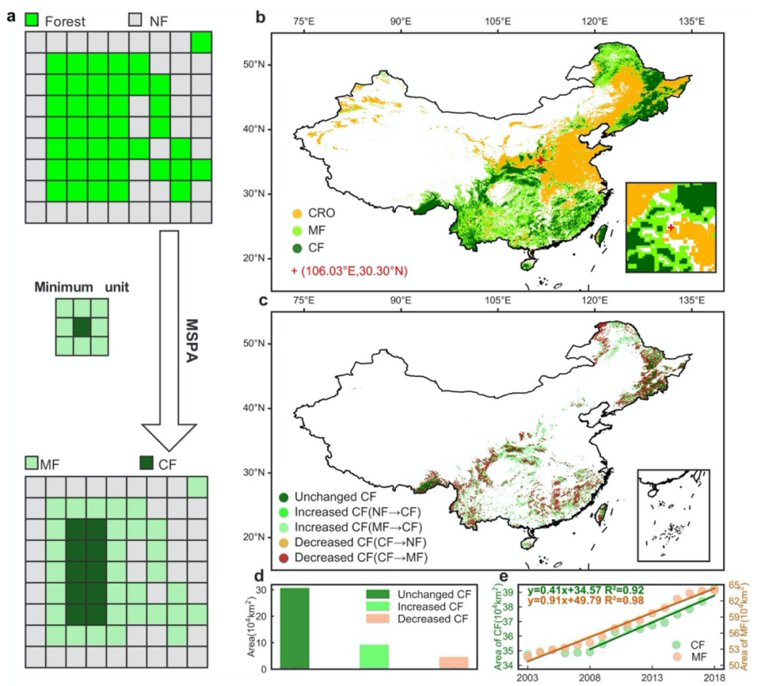 森林也“斑秃”？那该怎么治？丨大气悟理