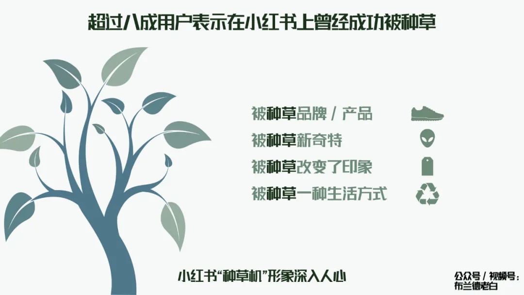 万字梳理品牌小红书种草割草指南
