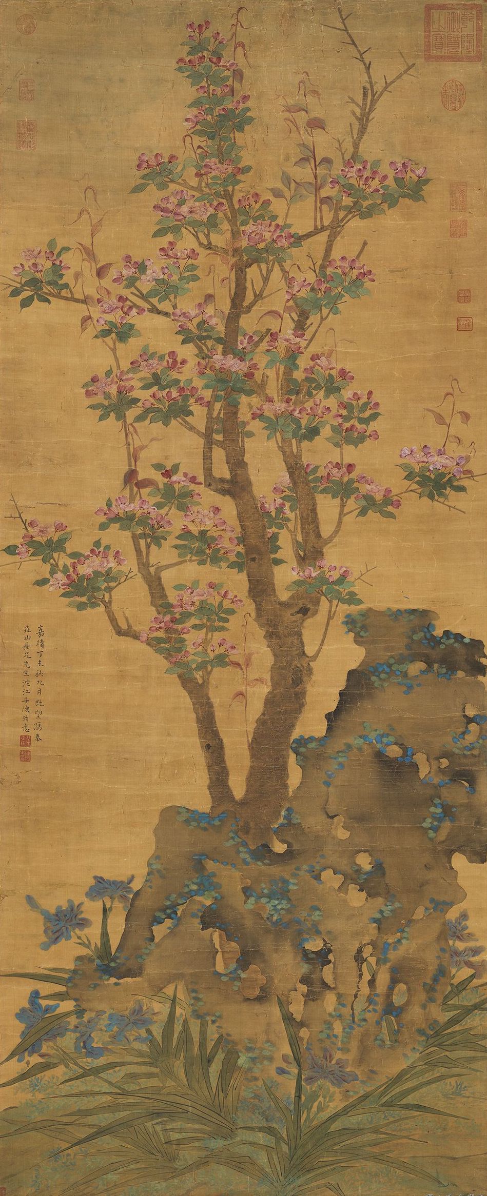 故宫花信|海棠:只恐夜深花睡去,故烧高烛照红妆