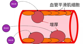 科研竞赛+志愿服务+学生工作=？天大直博女孩告诉你答案！