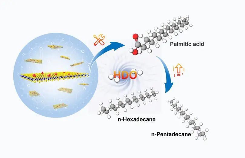 科研竞赛+志愿服务+学生工作=？天大直博女孩告诉你答案！