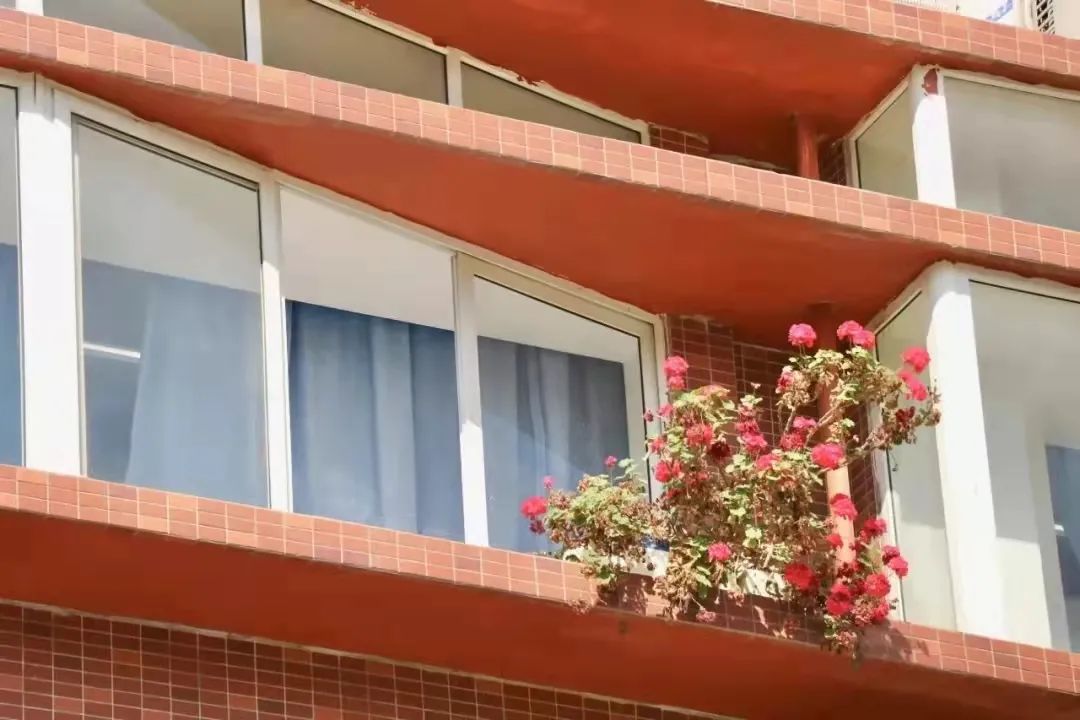 请查收！这封来自四川高校的春日来信