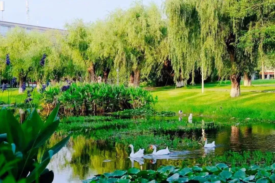 请查收！这封来自四川高校的春日来信