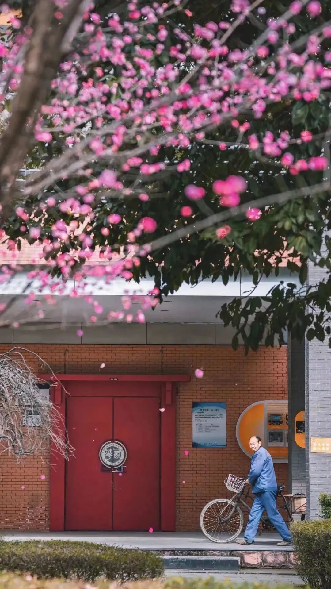 请查收！这封来自四川高校的春日来信