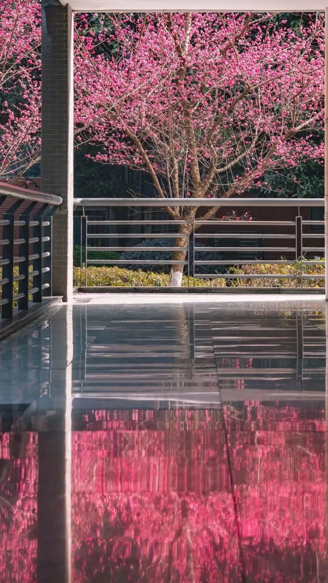 请查收！这封来自四川高校的春日来信