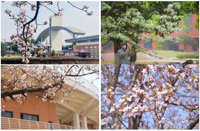 请查收！这封来自四川高校的春日来信