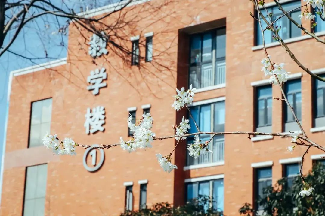 请查收！这封来自四川高校的春日来信