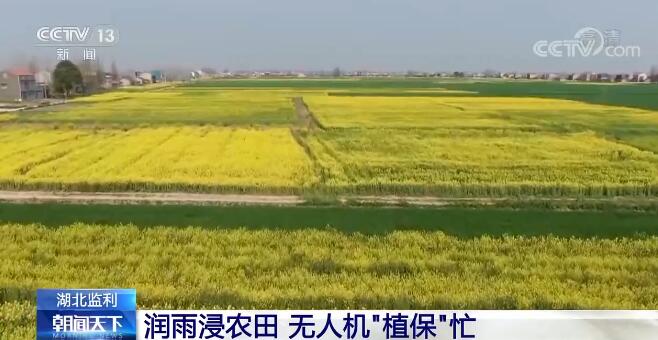 多地农技部门和村民抢抓农时 采取多种措施全力保障春季农业生产