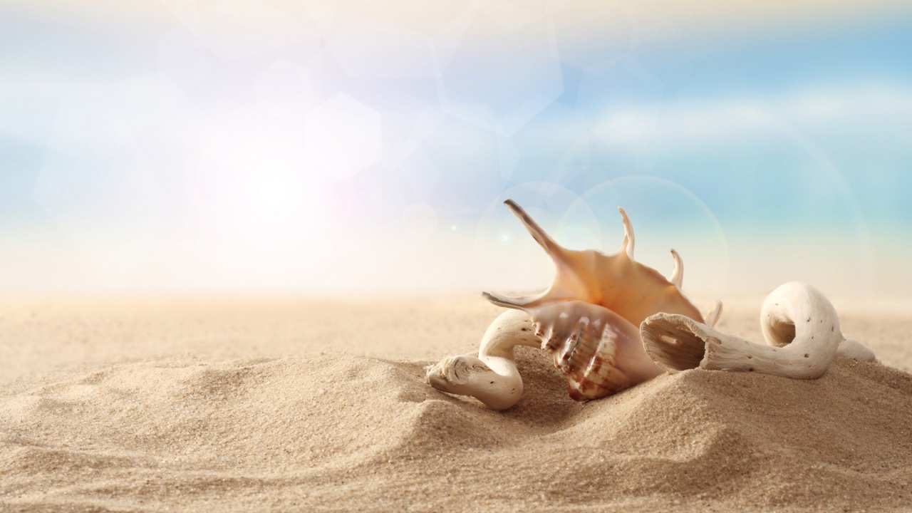 Xonsh Shell：在 Linux 終端結合 Bash Shell 和 Python 的最佳特性