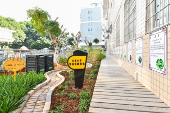 廈門市天安小學(xué)怎么樣?奏響環(huán)保“主題曲”(圖3) 廈門市天安小學(xué)怎么樣?奏響環(huán)保“主題曲”(圖3)