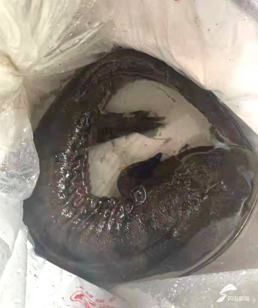 �����������һ��70����&ldquo;������&rdquo;��������Ŀǰ�ѽ�������