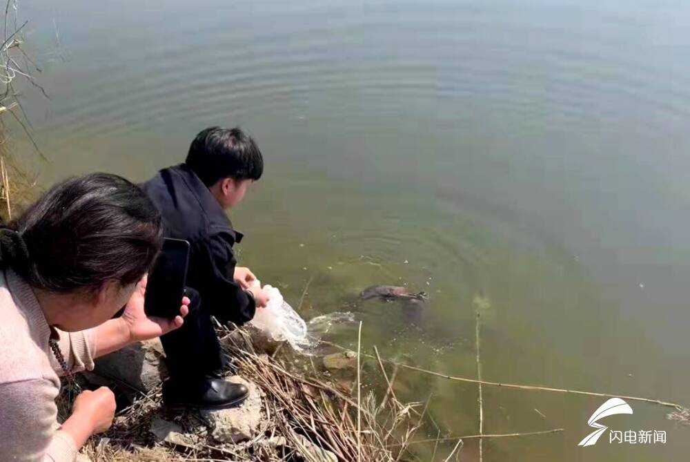 �����������һ��70����&ldquo;������&rdquo;��������Ŀǰ�ѽ�������