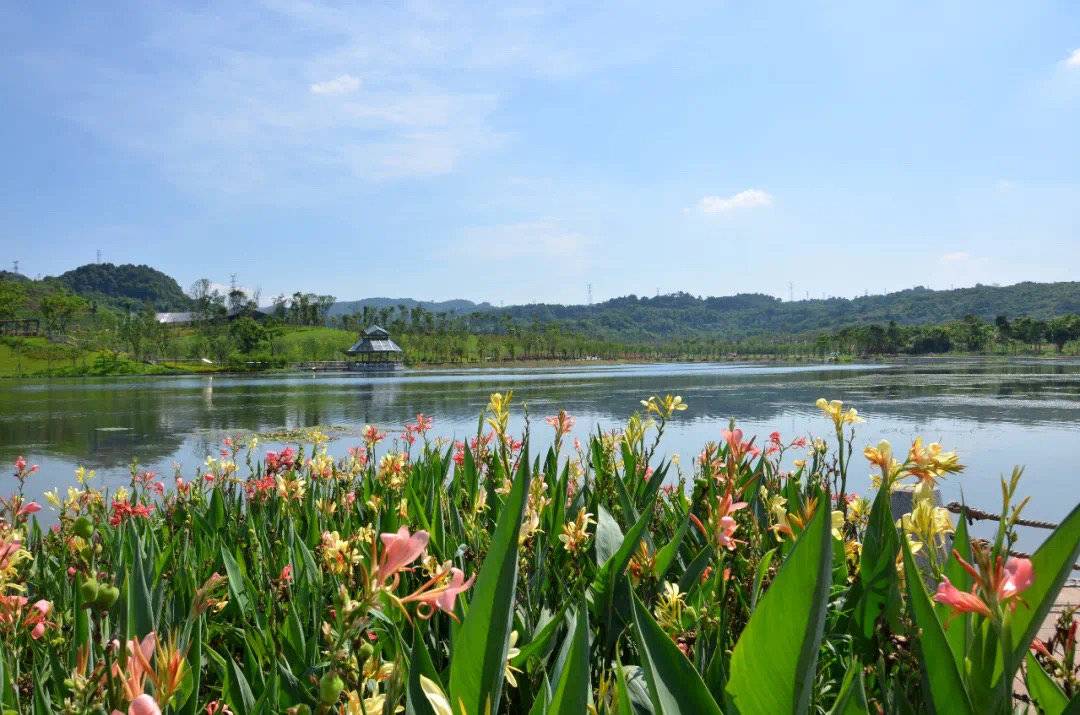 四川泸州获评中央财政海绵城市建设示范补助资金绩效评价A档