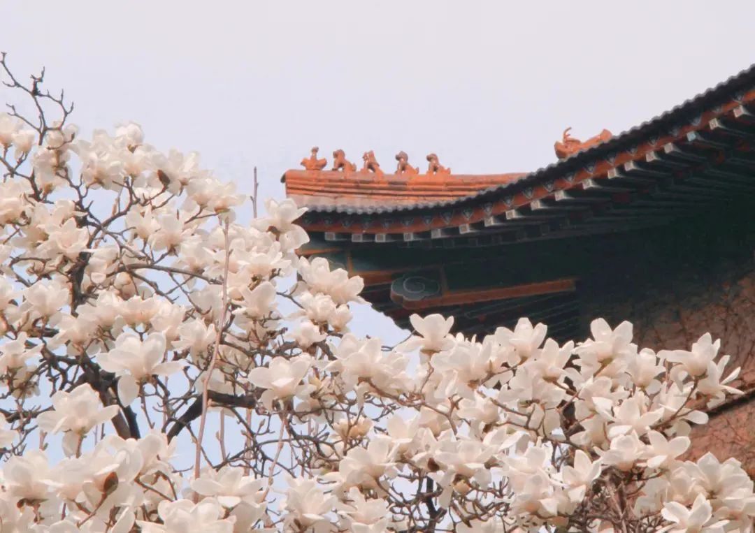 大学丨它是“西部红烛”，教师的摇篮，每年2000多人免费上