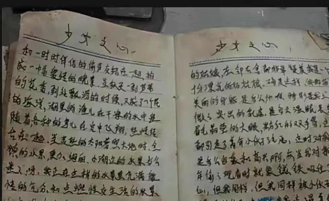 仅次于新华字典和毛选的读物直面"性"这个概念的手抄本《少女之心》甚