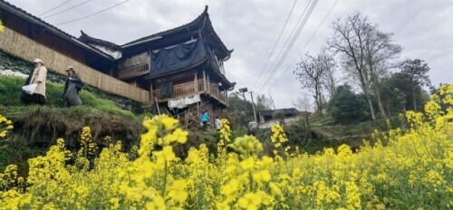 天堑变通途，“家庭”连上了“幸福”-写在矮寨大桥通车10周年之际