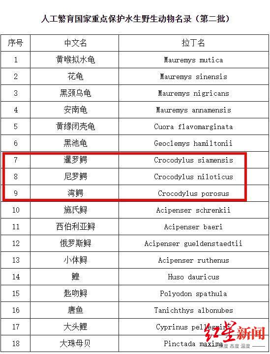 活体鳄鱼可当宠物养殖？渔业局：需办野生动物经营许可证，无证买卖、饲养均涉违法