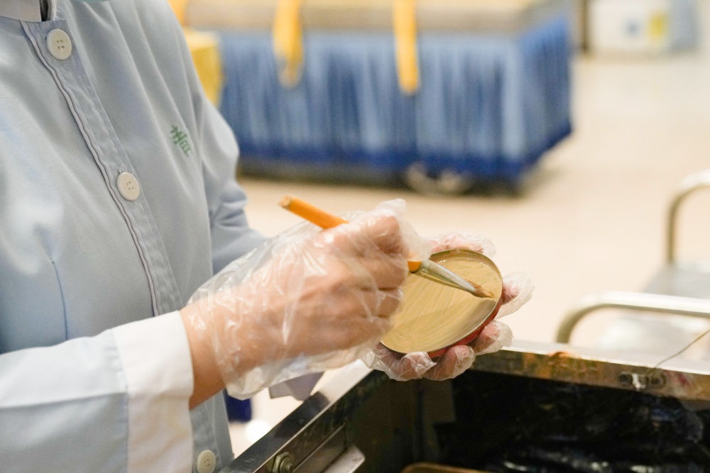 ����������ĸ��&mdash;&mdash;�߽��˱�ɽ���ǹ���������������ʦ