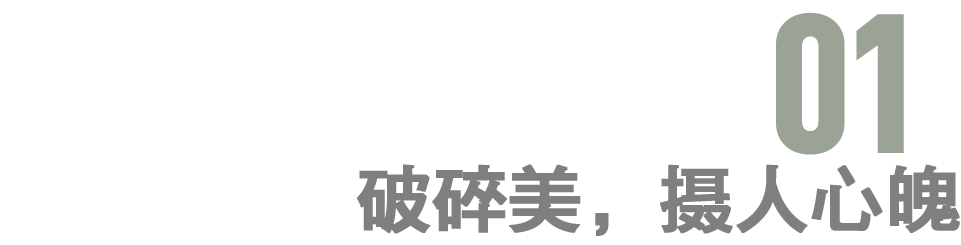 说到破碎感，谁没为龙葵哭过呢？
