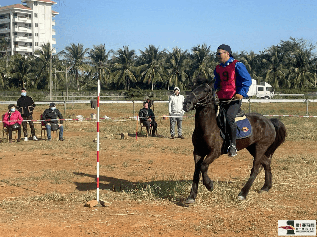 香港马会为什么没开世界杯(哪些时刻令您动容？2022上半年国内马圈大事件回顾)