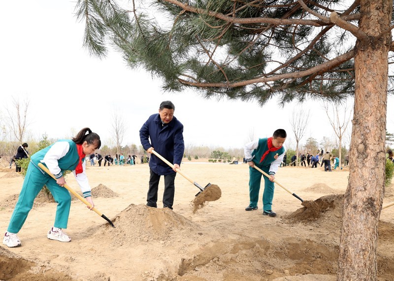 連續(xù)10年參加首都義務植樹 習近平引領建設綠色家園