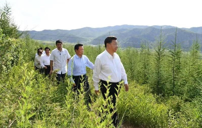 連續(xù)10年參加首都義務植樹 習近平引領建設綠色家園