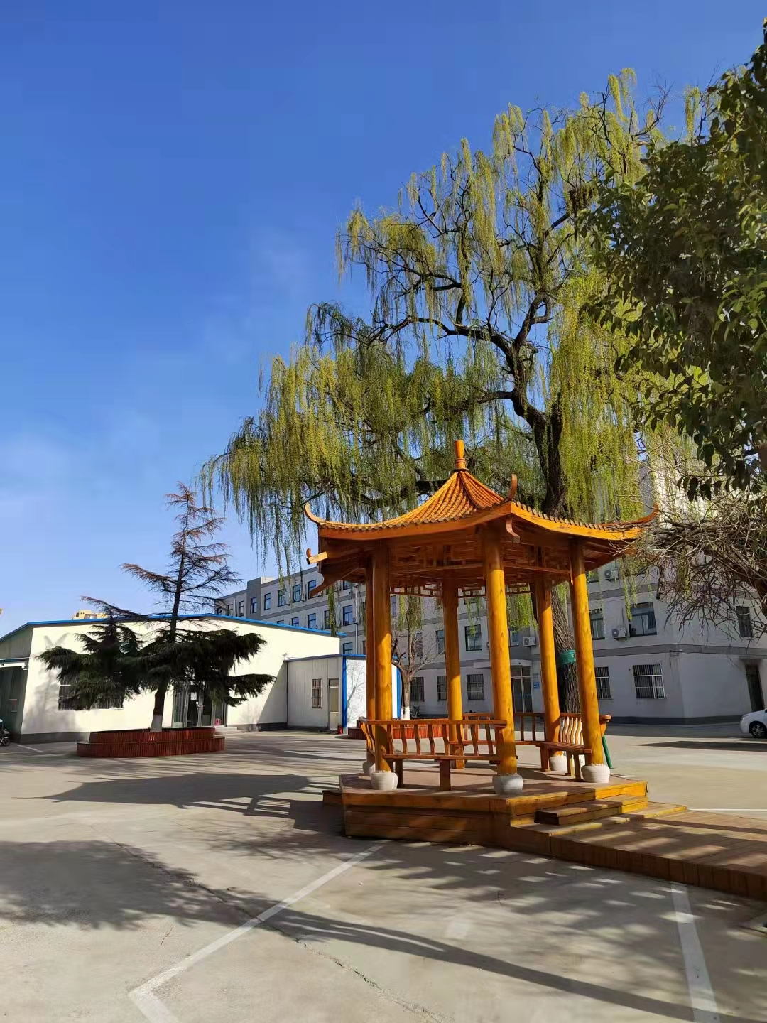 包顿水饺，加个鸡腿，打场篮球！来看我市高三“热腾腾”的校园生活