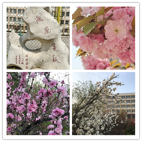 包顿水饺，加个鸡腿，打场篮球！来看我市高三“热腾腾”的校园生活