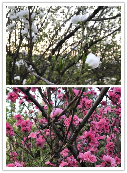 包顿水饺，加个鸡腿，打场篮球！来看我市高三“热腾腾”的校园生活