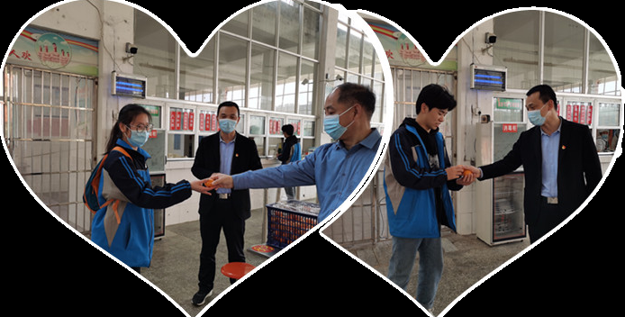 包顿水饺，加个鸡腿，打场篮球！来看我市高三“热腾腾”的校园生活