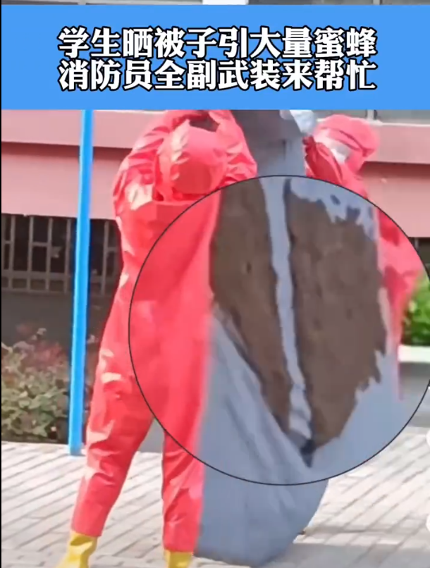 ̫ˣ֣һѧɹޱ۷䣬Աȫװæ