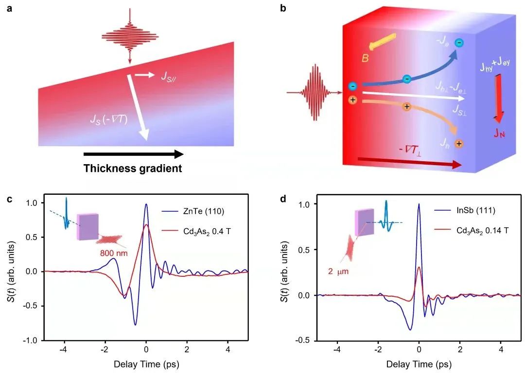 天津大学生命科学学院（天大一日发表两篇）