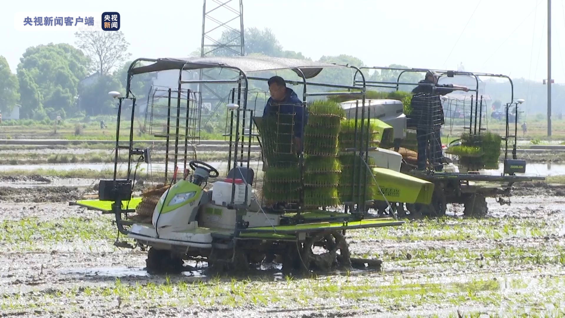 湖南益阳“无人机”插秧显身手，种田越来越有“科技范”