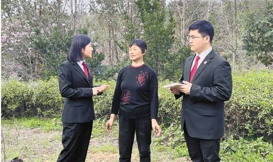 安吉“森林法官”行走绿水青山间 他们的护林经验被写入最高院工作报告