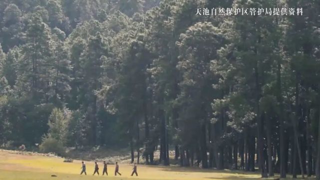 “猴爷”的山水十六年