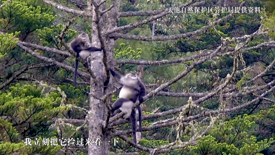 “猴爷”的山水十六年