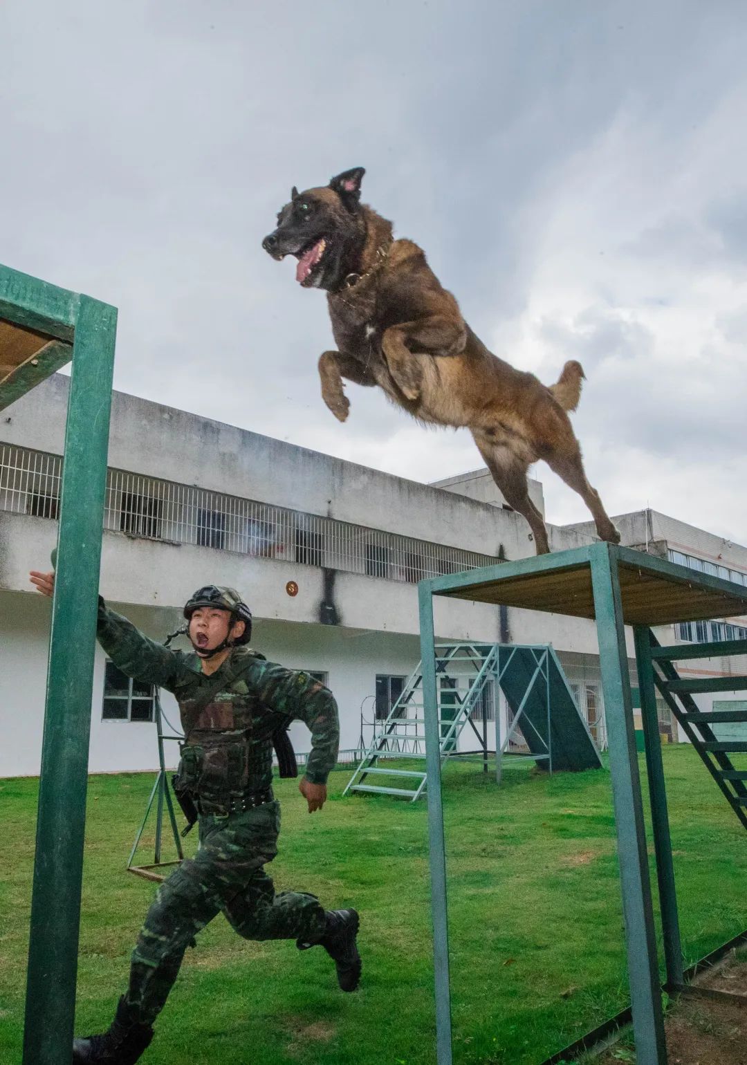 训导员 警犬=战斗力爆表