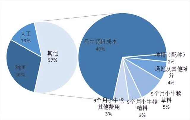 延长产业链,深挖肉牛产业价值链