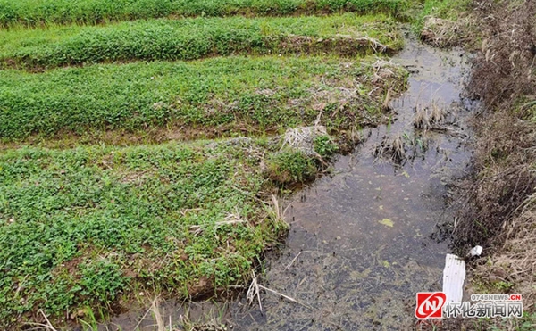 善谋田畴稳粮仓——高标准农田建设在怀化